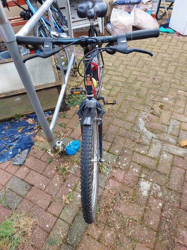Raleigh amazon mountain - 27.5",