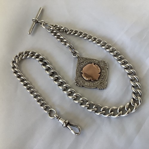 Albert watch chain 55g - watch,