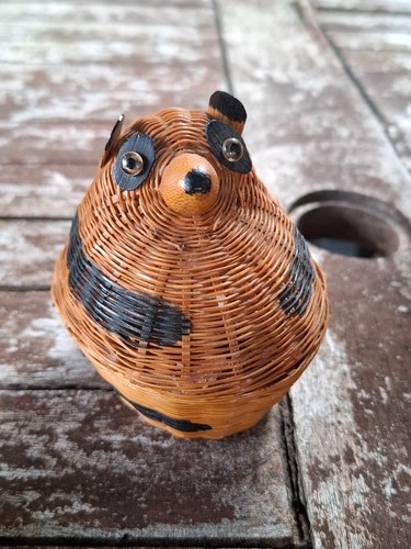 Vtg small cat raccoon - vtg, or