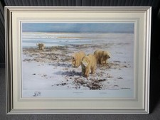 Lone Wanderers Of The Arctic