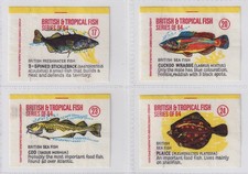 British tropical fish - british, (anglo