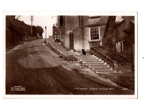 Yorkshire the bank robin - yorkshire., bank,