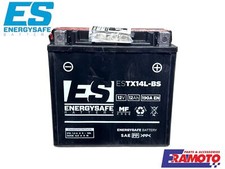 EnergySafe Battery ESTX14L-BS