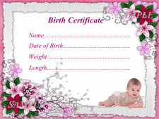 PINK FLORAL BABY BIRTH CERTIFICATE/CERTIFICATES 4 REBORN FAKE BABY approx 7"x 5"