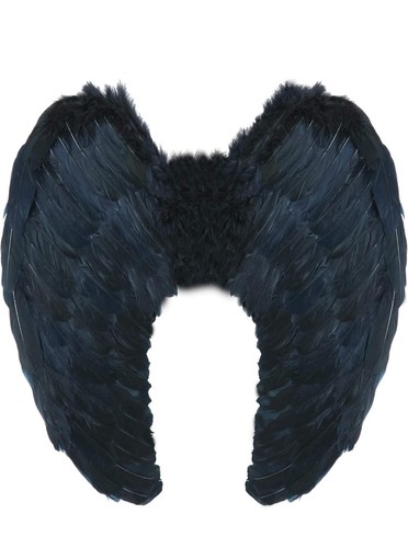 Angel fairy wings - fairy,