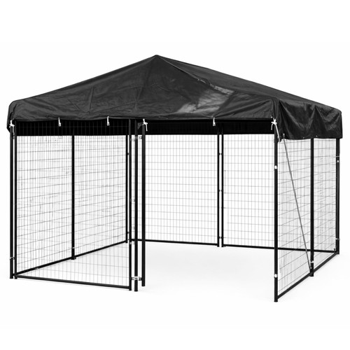 10x10 dog kennel - 10x10,
