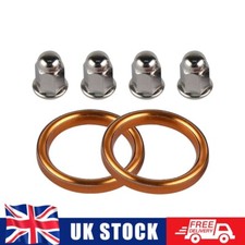 Exhaust Pipe Gasket Nut For