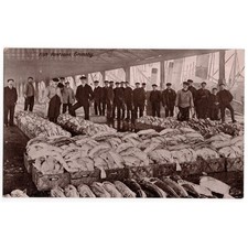 GRIMSBY Fish Pontoons, Lincolnshire Postcard Unused