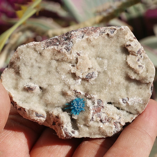 Gms cavansite matrix - 95,