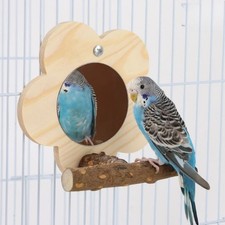 Bite Resistant Bird Mirror