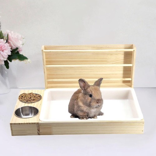 Rabbit hay feeder - hay,