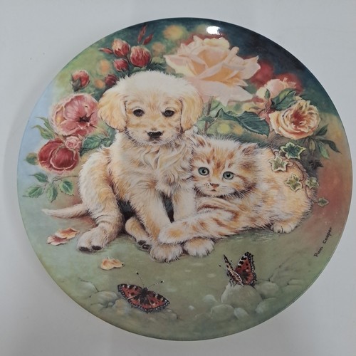 Limited edition bone - edition, china