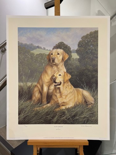 Nigel hemming yellow - hemming,