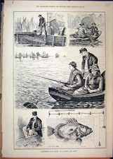 Original Old Antique Print Sea-Fishing 1886 John Dory Boat Net Chadding Pier