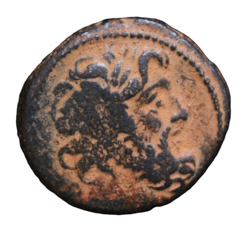 Genuine greek zeus - vf,