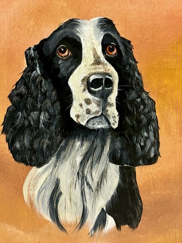 Vintage springer spaniel - springer,