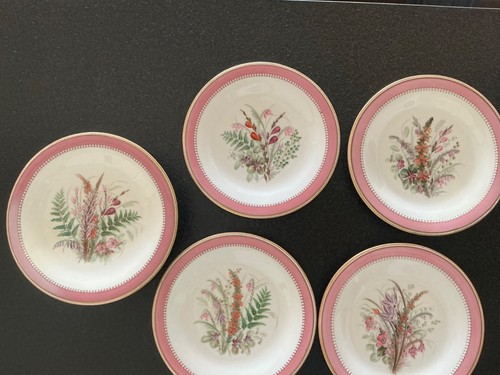 Set 1880 royal worcester - of,
