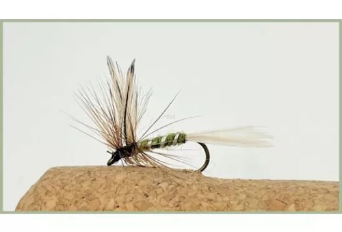 Barbless dry trout - dry,