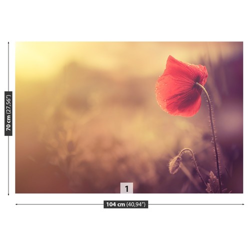 Photo wallpaper wall - photo,