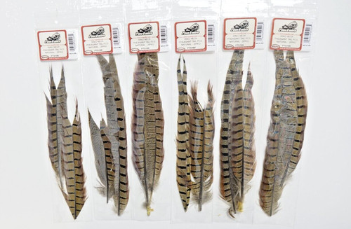 Ringneck pheasant tail piece - pheasant,