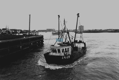 Ships film negative kings - film, negative: