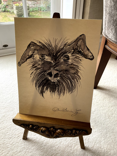 Art picture original pen - -, &