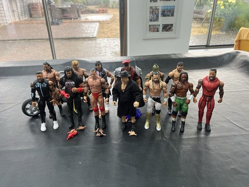 Wwe wrestling action figures - wwe,