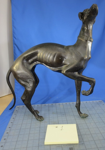 Bronze whippet greyhound dog - bronze,