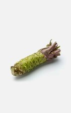 50 pcs WASABI VIABLE Bonsai SEEDS - JAPANESE HORSERADISH PLANT- UK STOCK