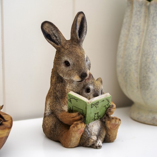 Rabbit baby reading - rabbit,