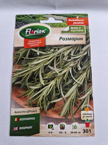 Herb spice rosemary - herb,