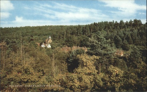 Salmon ltd holmbury - j.,