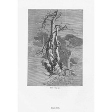 EDWIN LANDSEER Rest - Antique