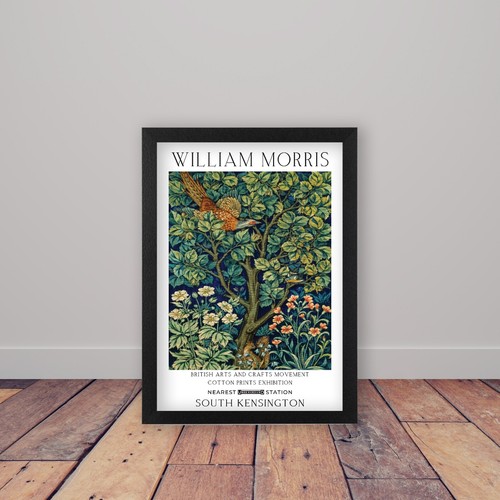 Framed pheasant william - framed,