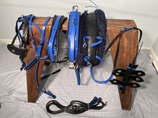 ***Leaders Worldwide Inc***