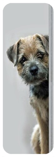 Border terrier dog bookmark - dog,