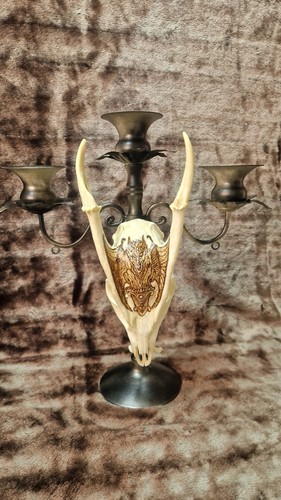 Muntjac deer candleabra - muntjac,