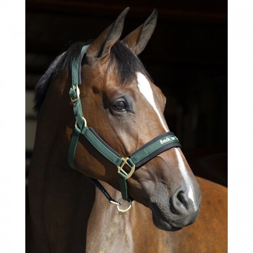 Back track werano - track, halter