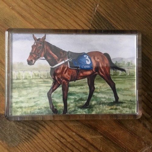 Horse racing art acrylic - horse,