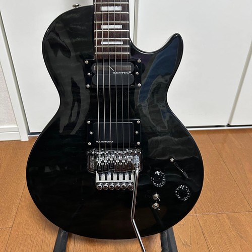 Sustainiac equipped les - les, paul