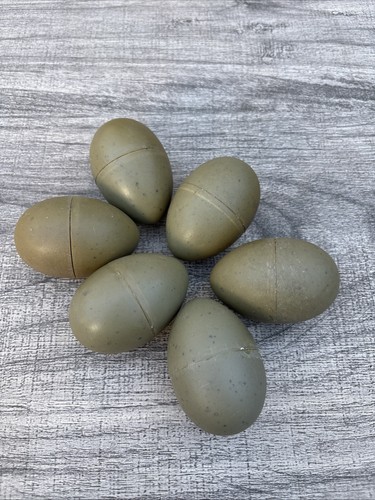 Dummy seagull eggs - dummy,