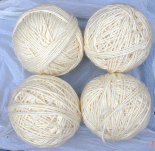 Wool off blackface - off, sheep,