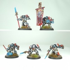 Brotherhood Terminators Painted Grey Knights Space Marines Warhammer 40k