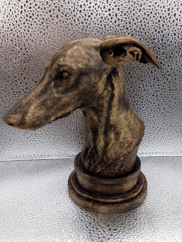 Greyhound bust - greyhound,
