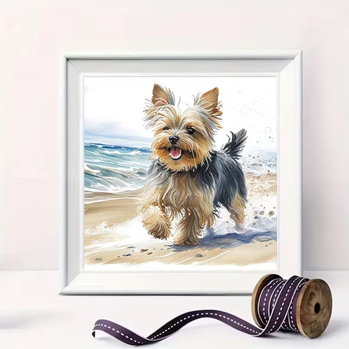 Beautiful yorkshire terrier - beautiful,