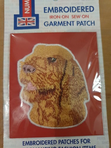 Wirehaired hungarian vizsla - wirehaired,