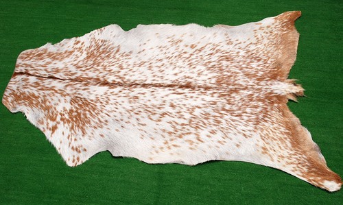Luxury goat hide - goat, on