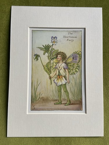 Scabius flower fairy - flower,