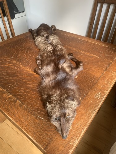 Vintage brown fur - brown, with