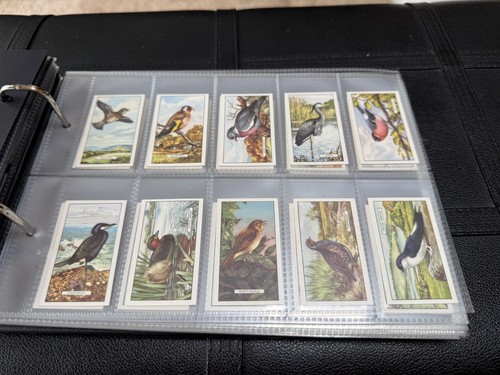 Gallaher cigarette cards 15 - gallaher,